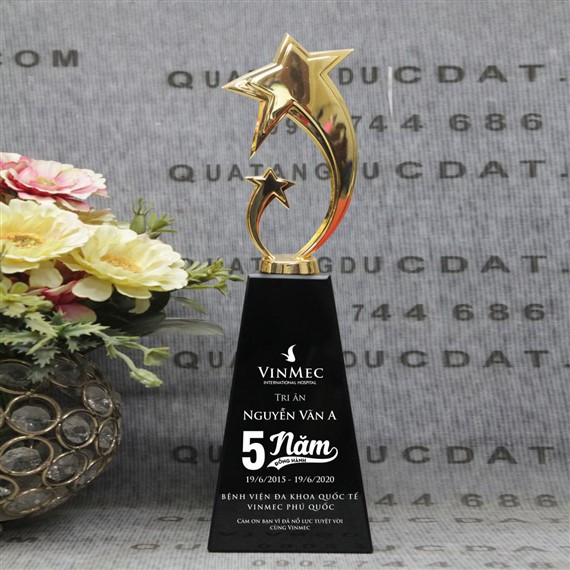 Mẫu cúp vinh danh sáng bóng